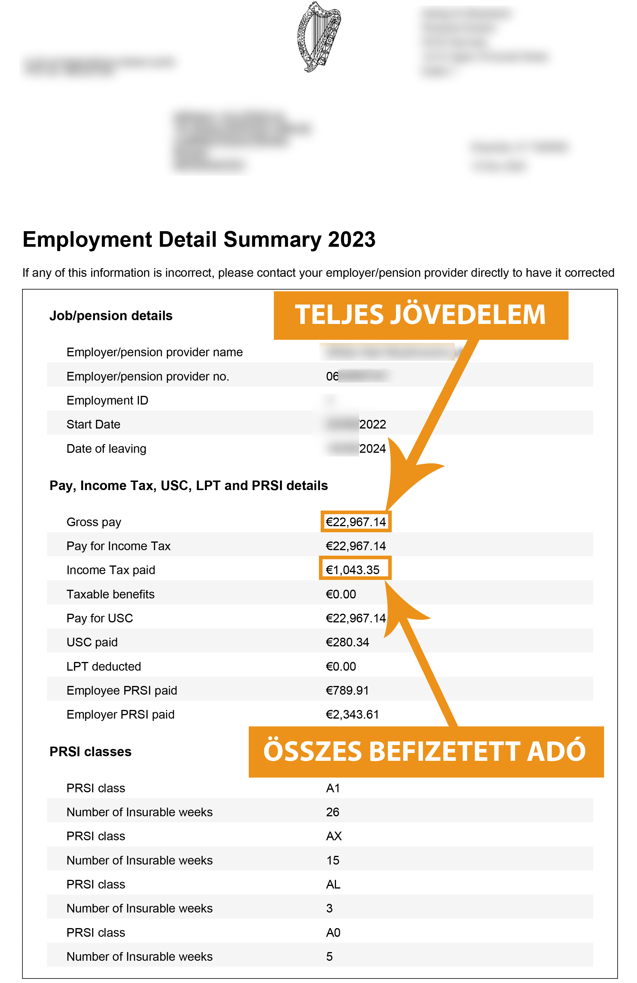 Térítse vissza adóját Írországból - Employment Detail Summary