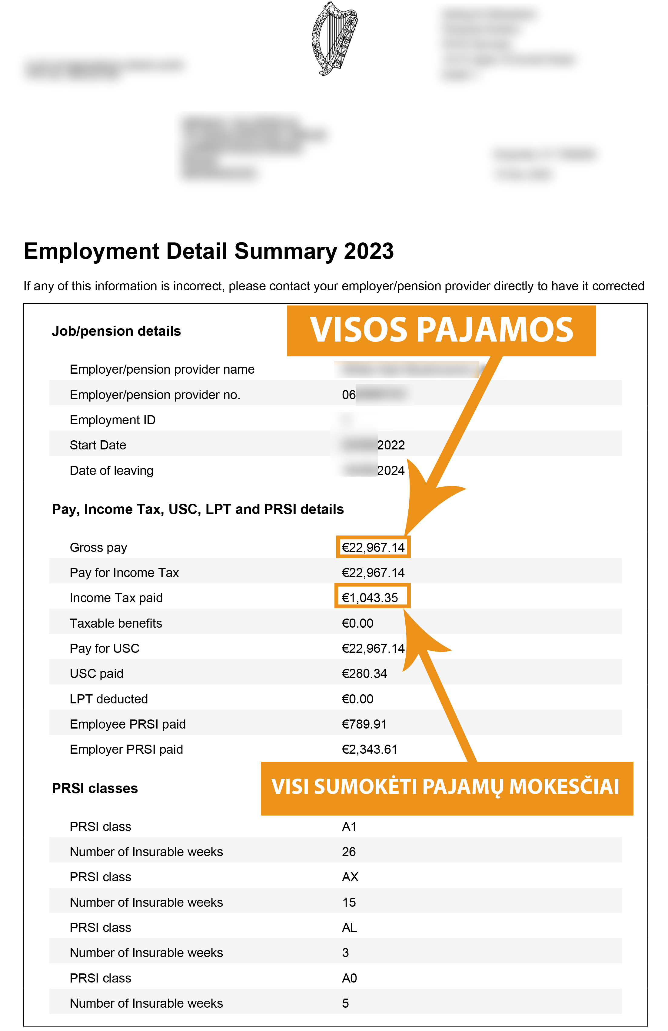 Susigrąžinkite mokesčių permoką iš Airijos - Employment Detail Summary