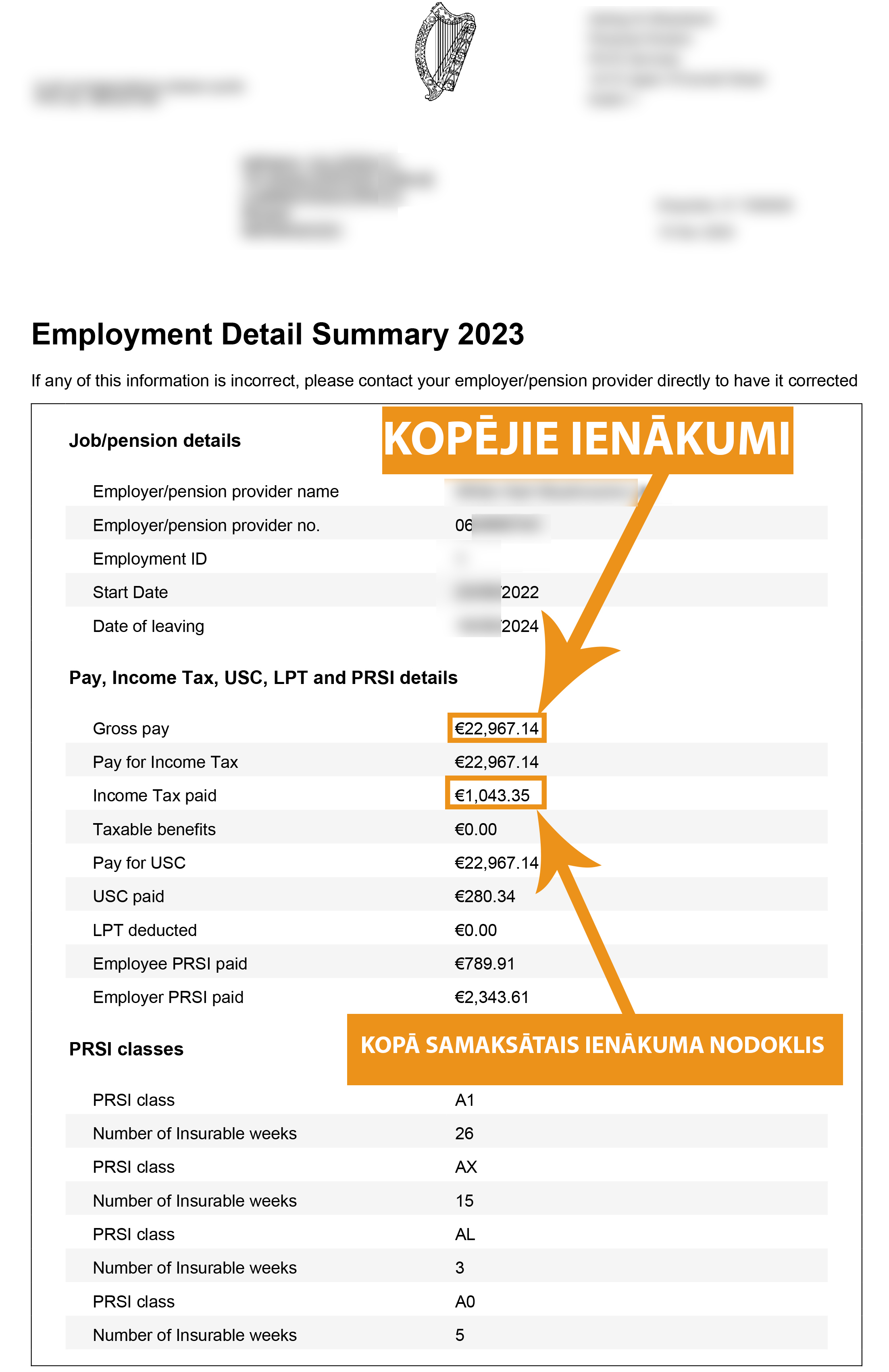 Atgrieziet pārmaksātos nodokļus no Īrijas - Employment Detail Summary