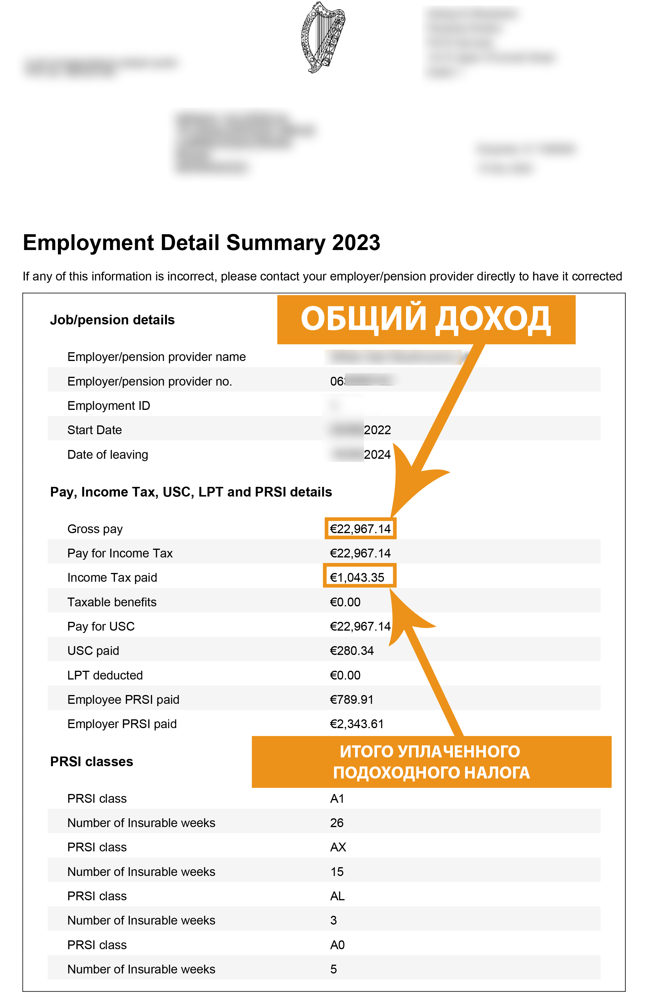Верните переплаченные налоги из Ирландии - Employment Detail Summary